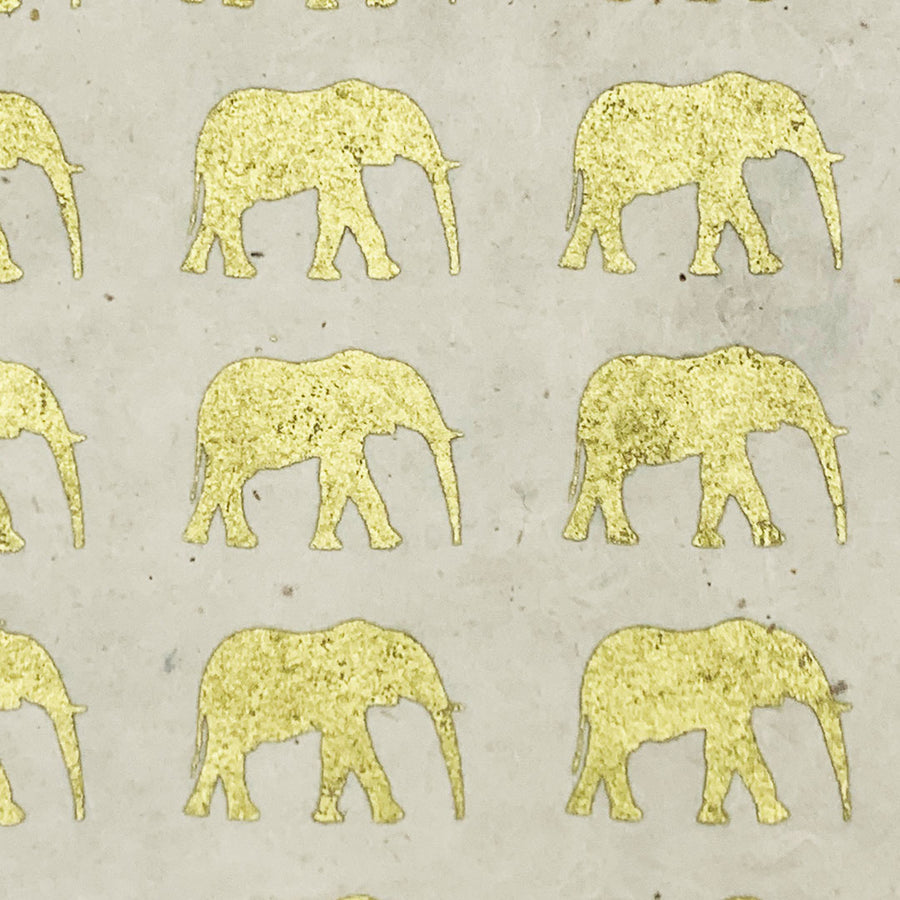 Safari Journal Kit - Ivory/Gold